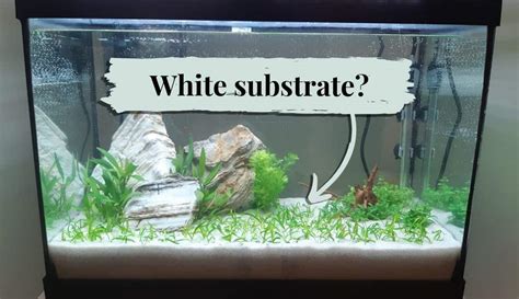 Freshwater Aquarium Sand, Gravel & Substrates .